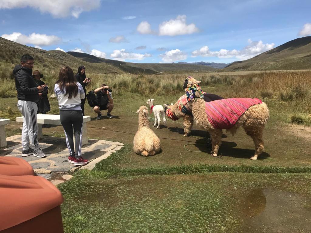 Amazing Huaraz Bed & Breakfast Eksteriør bilde