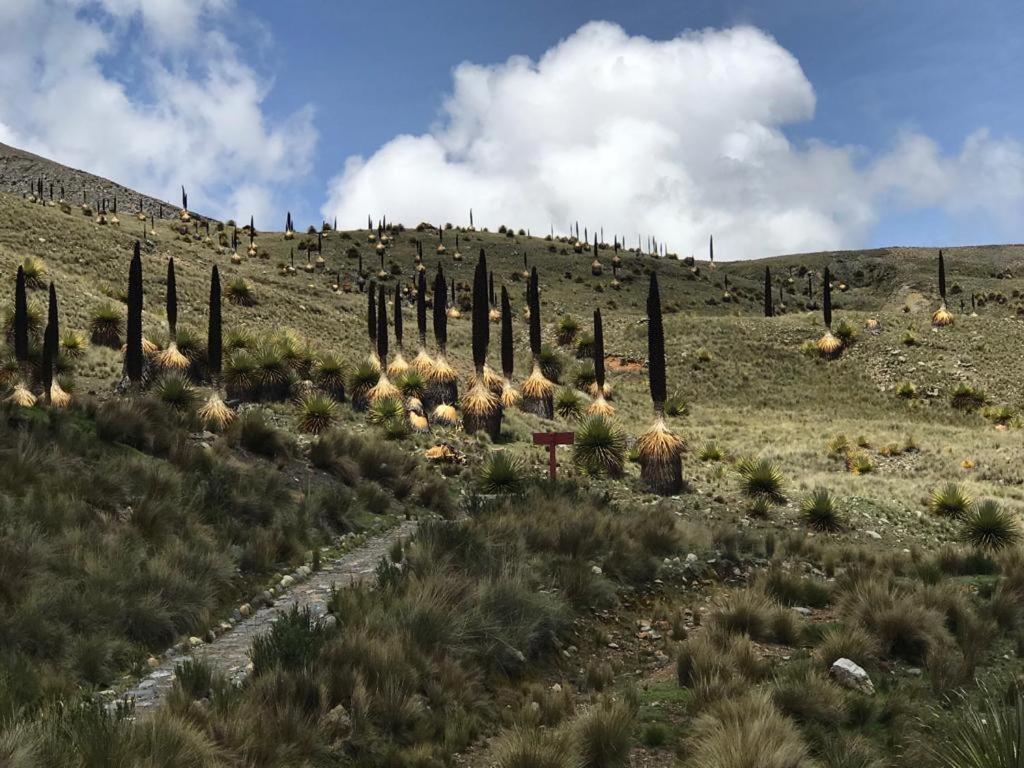 Amazing Huaraz Bed & Breakfast Eksteriør bilde