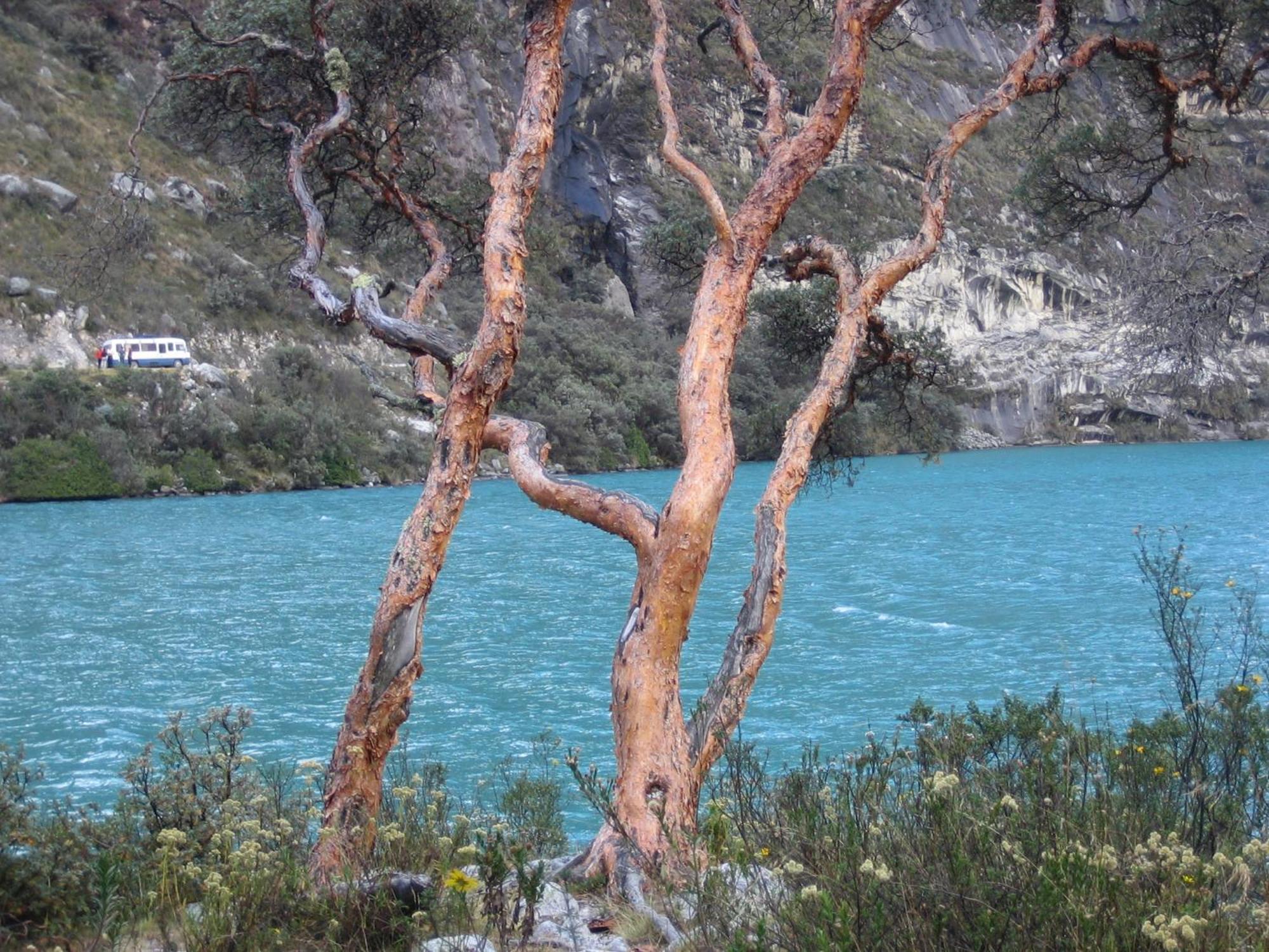 Amazing Huaraz Bed & Breakfast Eksteriør bilde